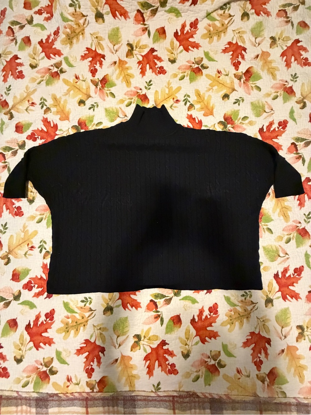 Black Cropped Turtleneck Short Sleeve Sweater Top